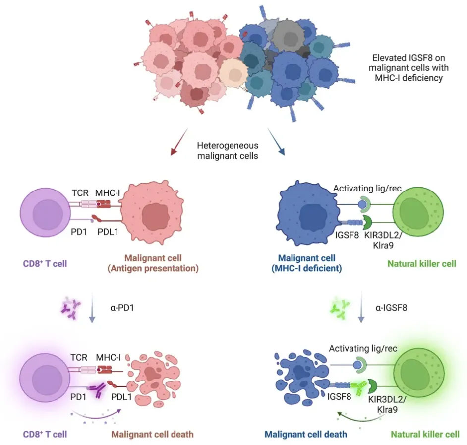 640-(2).jpg 640-(2).jpg